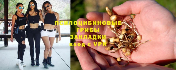 метадон Горняк