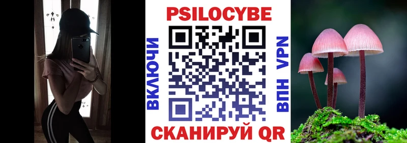продажа наркотиков  Ставрополь  Псилоцибиновые грибы Cubensis 